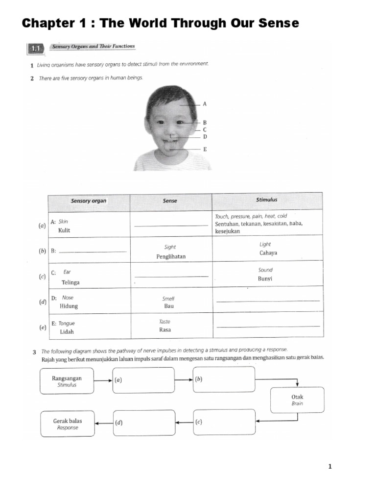 Science Form 2 Chapter 1 | PDF