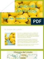 Los Limones Argentinos