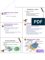 Endomembrane, Organeli PDF