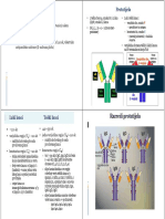 04N-Prepoznavanje,+specificnost+za+web+N+2014-15-2.+dio.pdf