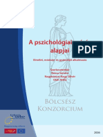 A pszichológiai mérés alapjai.pdf