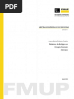 Relatrio de Estgio Em Cirurgia Vascular Servio