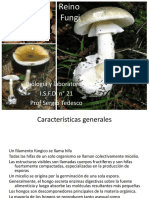 8 Reino Fungi PDF