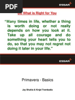 Download Primavera Basics by barkath_khan SN38754182 doc pdf
