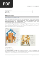 H 01 Haemorrhoiden