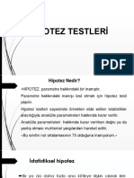 Hipotez Testleri