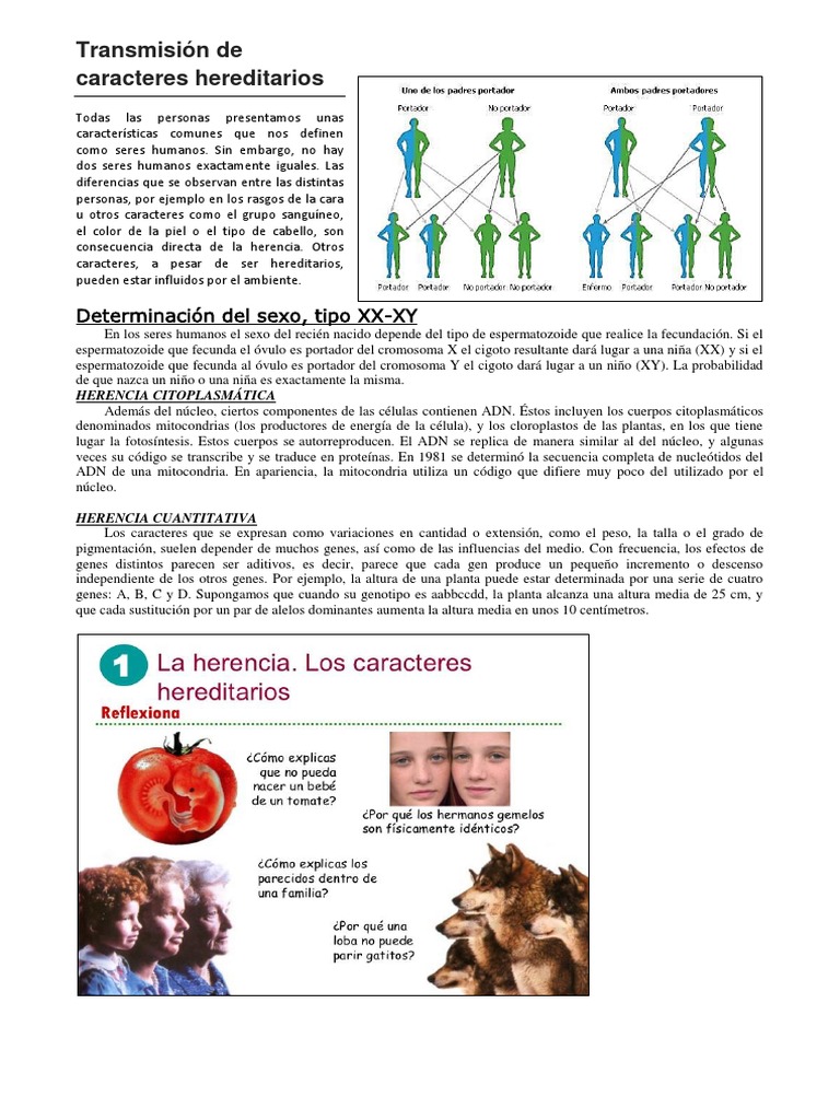 Transmisión de Caracteres Hereditarios PDF