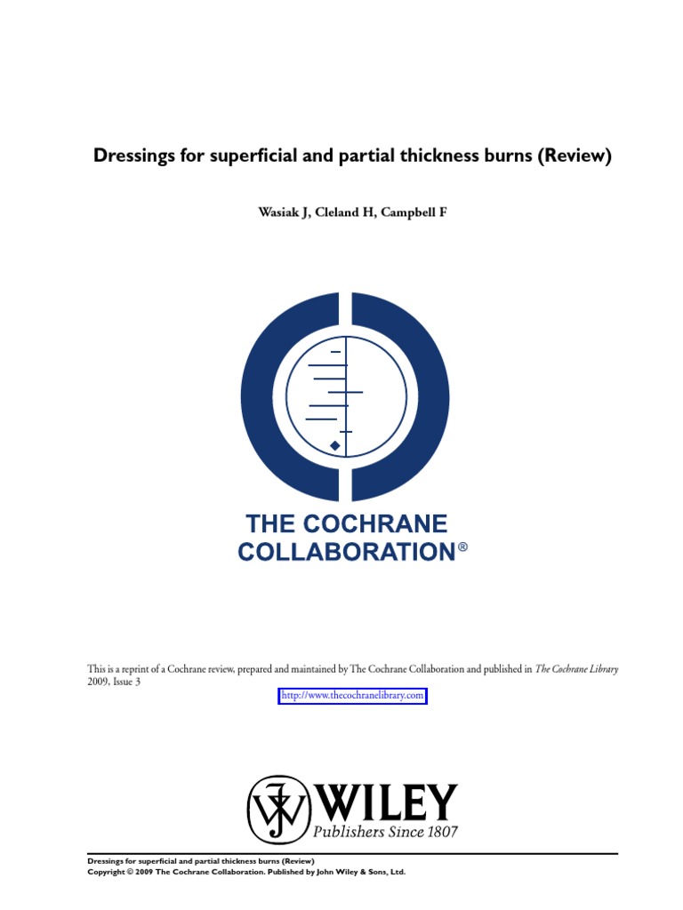 Dressing Luka Bakar PDF Burn Wound