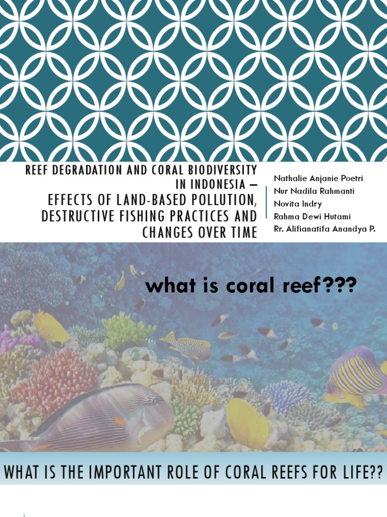 Reef Degradation PDF Coral Reef Coral