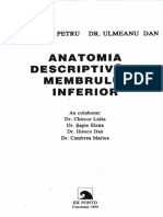 Membrul Inf-Definitiv PDF