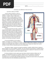 Atividade de Ciencias Sistema Circulatorio 4 e 5 Ano para Imprimir | PDF