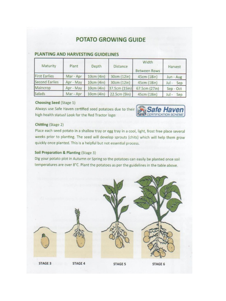 Potato Growing Guide | PDF