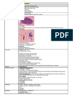 Protozoa Revision Toxoplasma Gondii