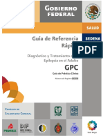 GRR Ssa 210 09 PDF