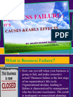 Business Failur E:: Causes &early Effects