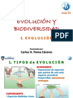 BIOLOGÍA MOLECULAR - ENZIMAS