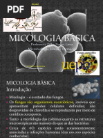 [Aula 2 Microbiologia Básica - Profª. Zilka] Micologia Básica