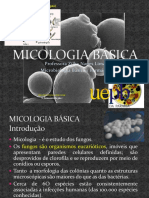 [Aula 2 Microbiologia Básica - Profª. Zilka] Micologia Básica