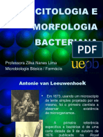 (Aula 4 Microbiologia Básica - Prof . Zilka) Citologia e Morfologia Bacteriana