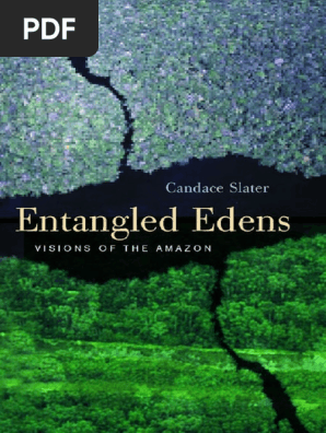 Female riding clothing river oak saddlery club