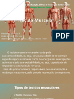 Tecido Muscular Final