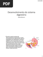 Desenvolvimento Do Sistema Digestorio