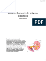 Desenvolvimento Do Sistema Digestorio