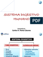 FISIOLOGÍA HUMANA