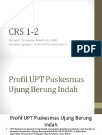 CRS 1-2 ikm uber.pptx