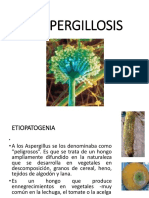 Aspergyllus Farmacia 2018mod 22[1]