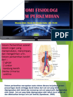 Anatomi Fisiologi Sistem Perkemihan