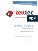 Principios de Derecho Ambiental