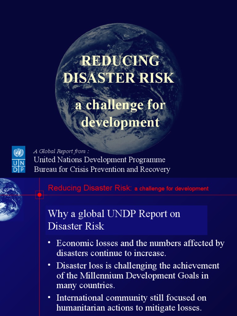 UNDP Report on Disaster Risk Reduction | PDF | Hazards | Risk
