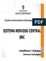 Aula - Sistema Nervoso Central (1)