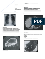 Guía práctica de radiología con preguntas y formaciones anatómicas