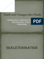 Death and Changes After Death
