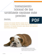 Tratamiento Nutricional Urolitiasis Caninas