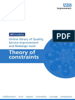 Theory Constraints