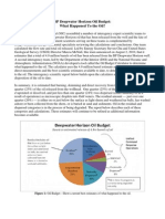 OilBudget Description 83final