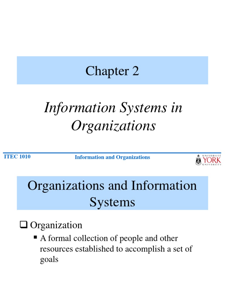 Information Systems in Organizations | PDF | Chief Information Officer ...