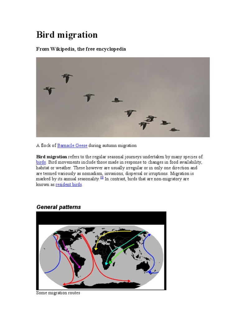 Bird Migration Patterns Explained | PDF | Bird Migration | Dinosaurs