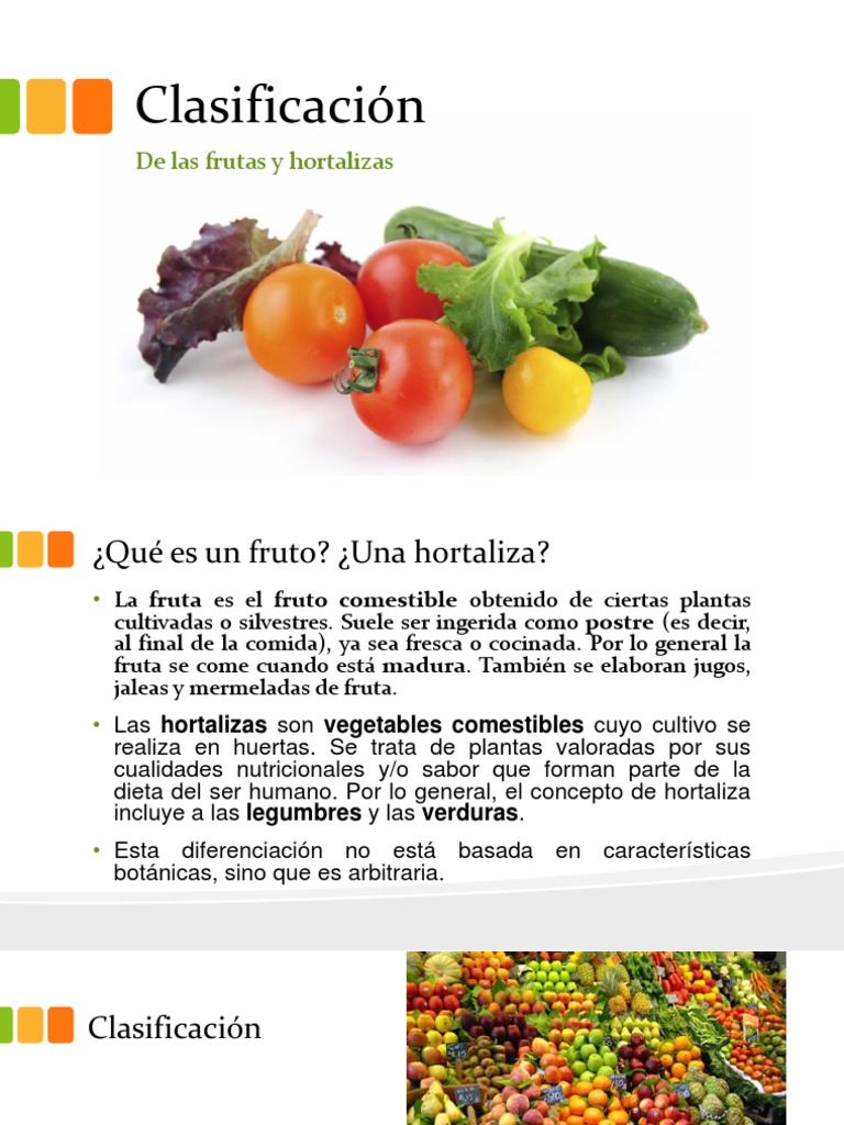 Clasificación de Frutas y Hortalizas | PDF | melocotón | Vegetales, image size:768x1024