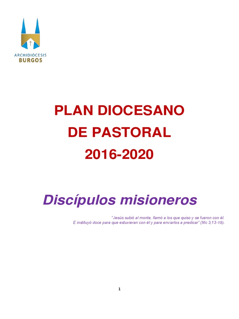 Plan Diocesano de Pastoral 2016-2020 | PDF | Misionero | Iglesia Católica