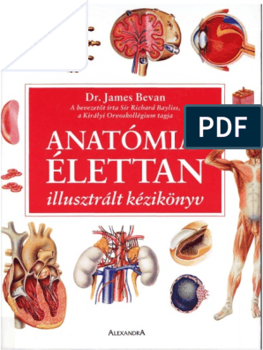 Anatomia Elettan Kezikonyv PDF | PDF