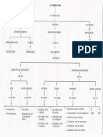 esquema-tema-11.pdf