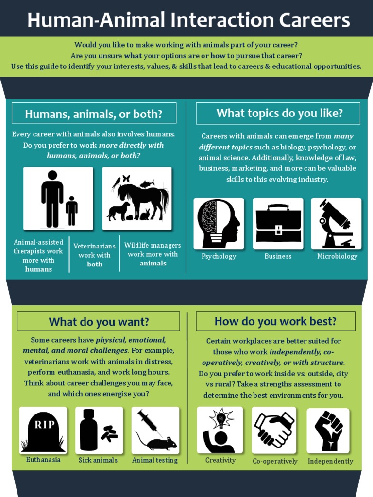 Hai Careers Infographic PDF Veterinary Physician Animal Testing