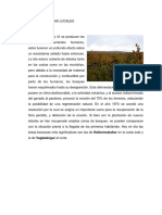 LOS-ECOSISTEMAS-LOCALES.docx