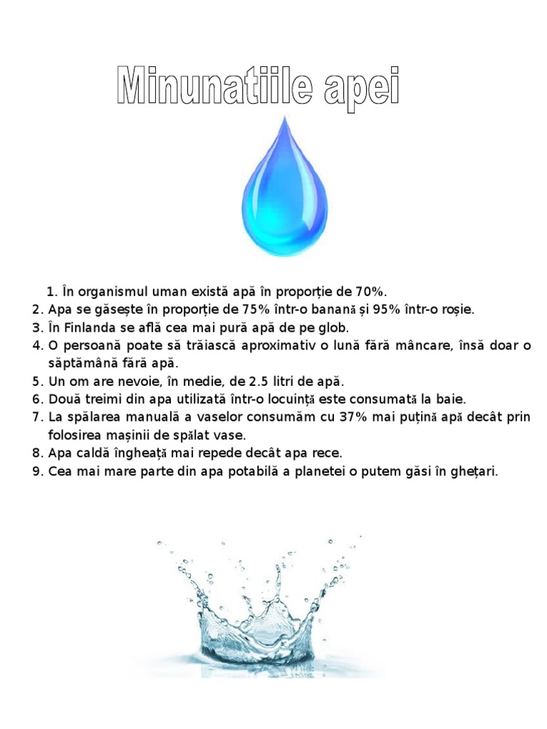 Proiect Apa | PDF