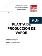 Proyecto planta de vapor