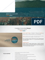 Anunt Angajare Director Executiv PDF